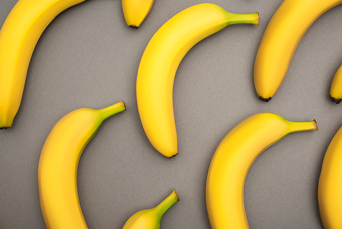 top view of yellow and organic bananas on grey background