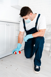 exterminator in blue latex gloves holding spray can near insects on floor