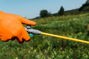 cropped view of exterminator in latex glove holding spray outside