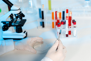 cropped view of scientist in latex gloves holding glass test plate and syringe