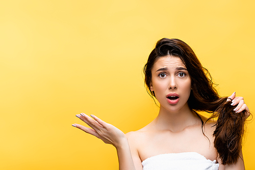 shocked beautiful woman holding hair isolated on yellow