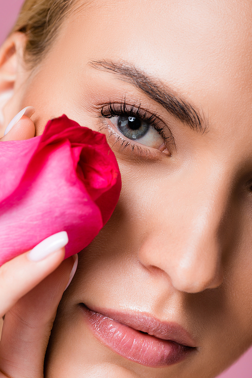 closeup of beautiful blonde woman with perfect skin and rose flower isolated on pink