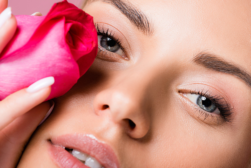 closeup of beautiful woman with rose flower