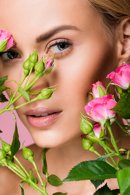 beautiful blonde woman in rose flowers isolated on pink