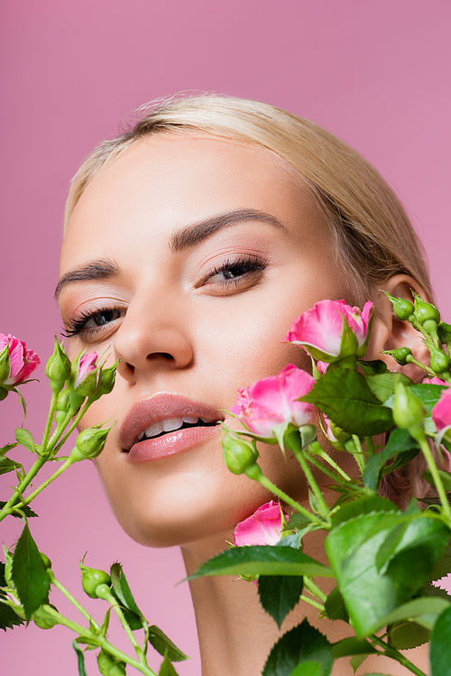 beautiful blonde woman in rose flowers isolated on pink