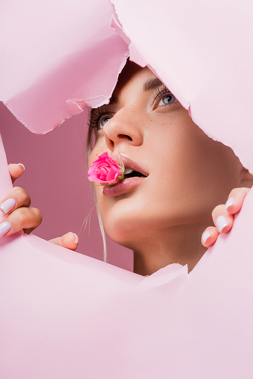 beautiful blonde woman with rose in paper pink hole