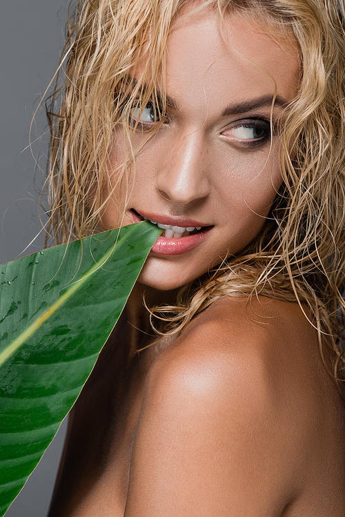 sexy blonde woman with wet hair and green leaf isolated on grey