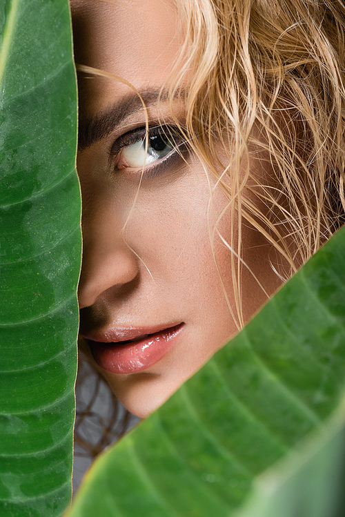 closeup of blonde woman with wet hair and green leaves