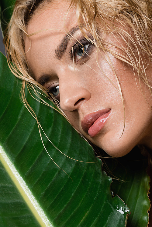blonde woman with wet hair and green leaf