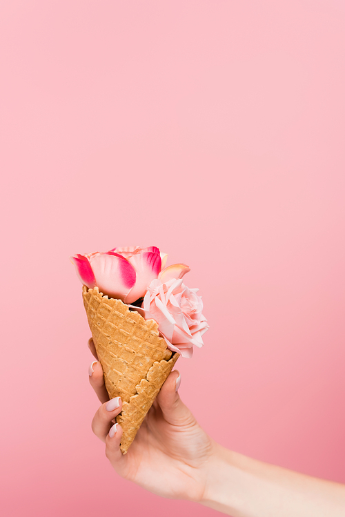 cropped view of woman holding waffle cone with flowers isolated on pink