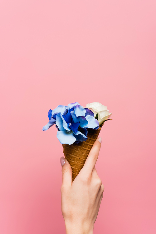 partial view of woman holding waffle cone with blue flowers in hand isolated on pink