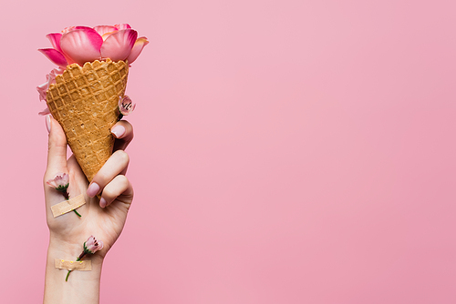 partial view of woman holding waffle cone with petals in hand with flowers covered by plasters isolated on pink