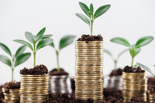 coins with green leaves and soil Isolated On White, financial growth concept