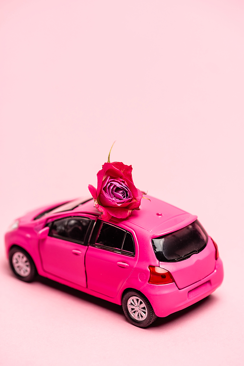 toy car and red rose on pink background