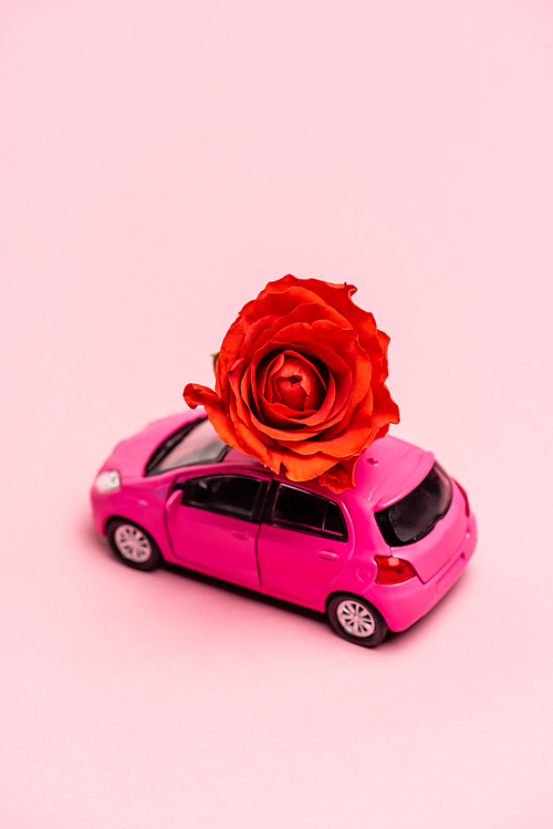 toy car and red rose on pink background