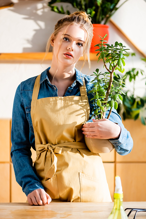 beautiful woman holding flowerpot with plant