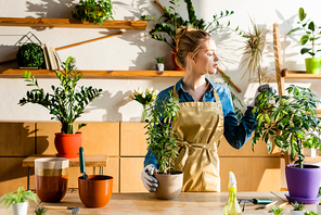beautiful woman in apron looking at green plants