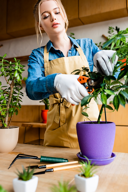 selective focus of young woman in gloves cutting green leaves with gardening scissors
