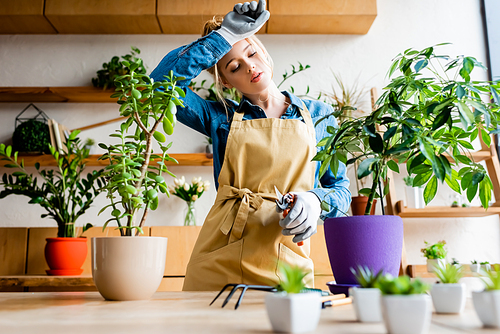 selective focus of tired young woman in gloves touching forehead while holding gardening scissors near plants