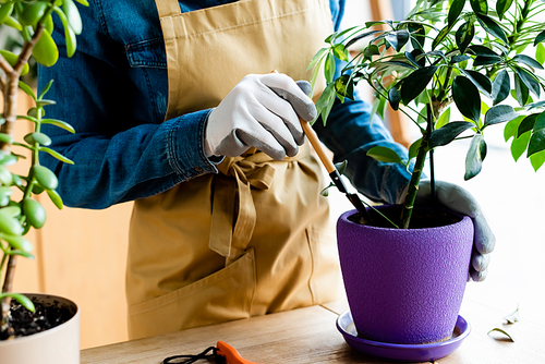 cropped view of young woman in gloves holding rake near plant in flowerpot