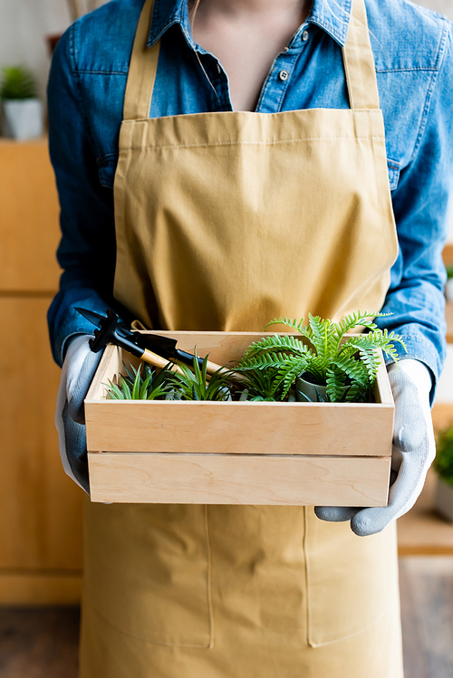cropped view of girl in gloves holding wooden box with green plants and gardening tools