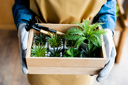 cropped view of woman in gloves holding wooden box with green plants and gardening tools