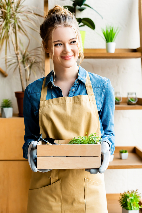 cheerful woman in gloves holding wooden box with green plants