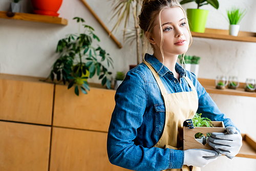 attractive woman in gloves and apron holding wooden box with green plants