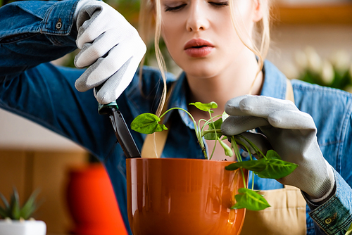 selective focus of young woman in gloves holding small shovel while transplanting plant in flowerpot
