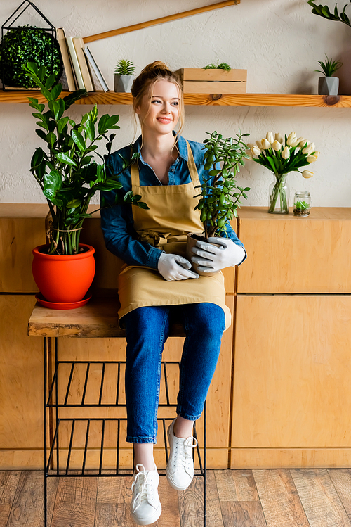 cheerful young woman in apron holding green plant