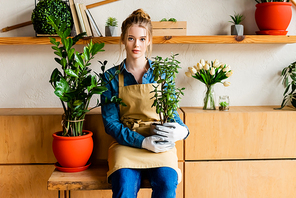 attractive young woman in apron holding green plant
