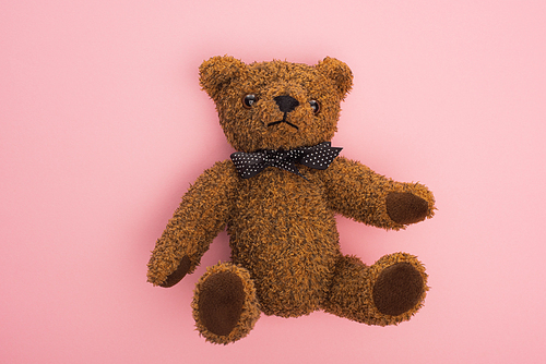 Top view of brown teddy bear with bow on pink background
