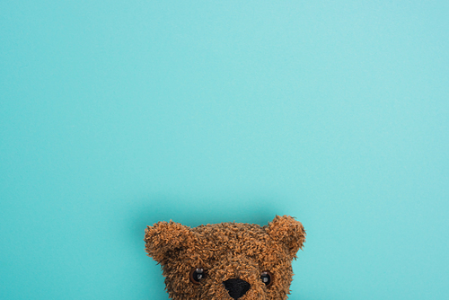 Top view of teddy bear on blue