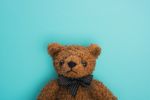 Top view of brown teddy bear with bow on blue background