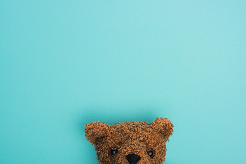 Top view of brown teddy bear on blue