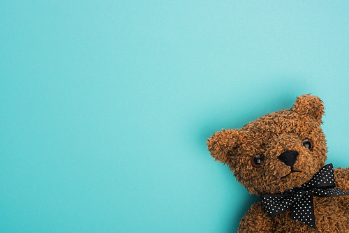 Top view of brown teddy bear on blue background