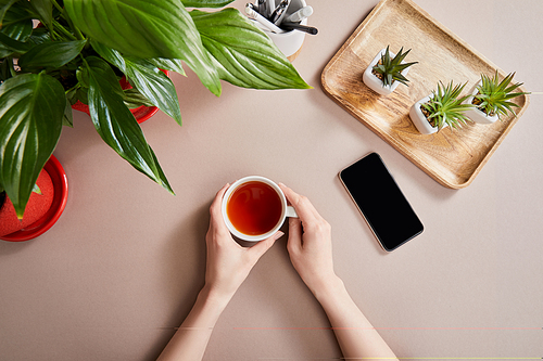 top view of green plants on wooden board near smartphone and female hands with cup of tea on beige surface