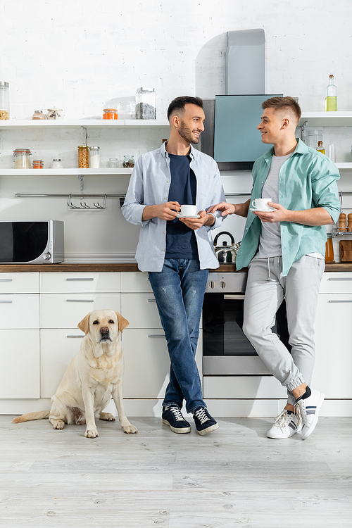 full length of cheerful homosexual men holding cups and standing near dog in kitchen