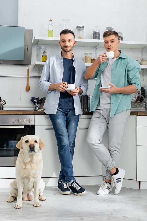full length of happy homosexual men holding cups and standing near dog in kitchen