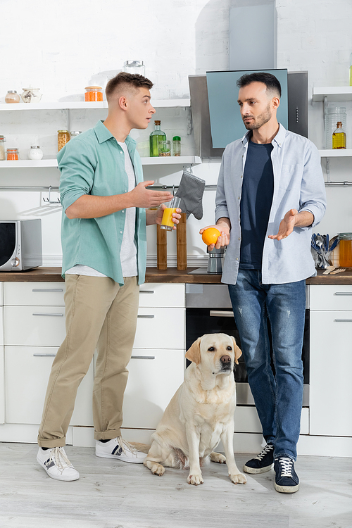confused homosexual men holding fruit and orange juice near labrador in kitchen
