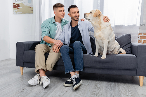 cheerful same sex couple smiling and looking at labrador in living room