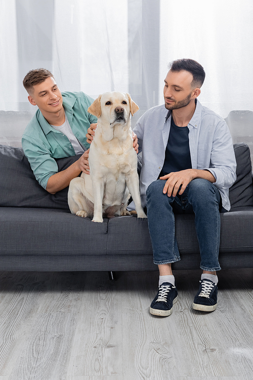 cheerful same sex couple smiling and cuddling labrador on couch