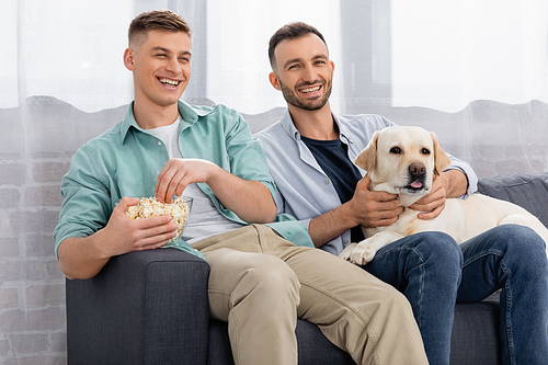 cheerful same sex couple smiling and watching movie with popcorn and labrador
