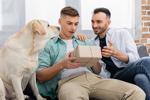 amazed man looking at valentines present near homosexual husband and dog