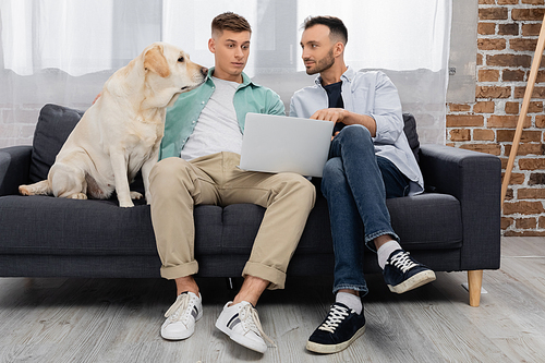 same sex couple watching movie on laptop near dog in living room
