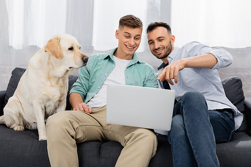 happy same sex couple watching movie on laptop near dog in living room