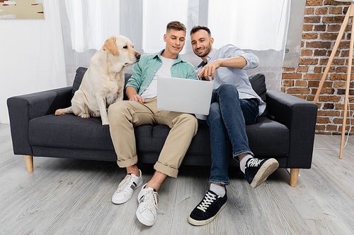 cheerful same sex couple watching movie on laptop near labrador in living room