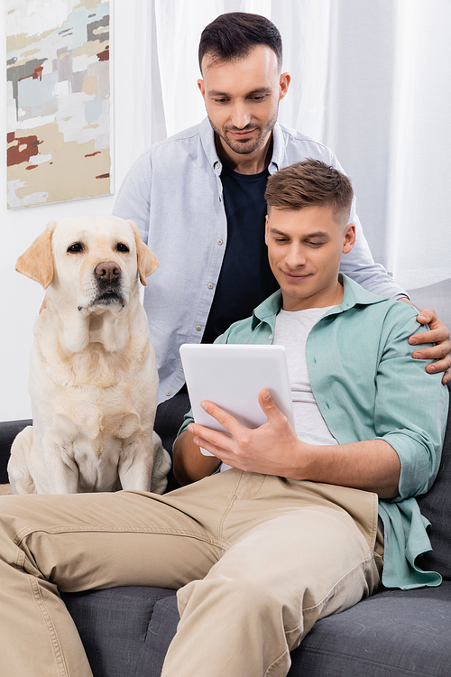 happy same sex couple looking at digital tablet near dog in living room