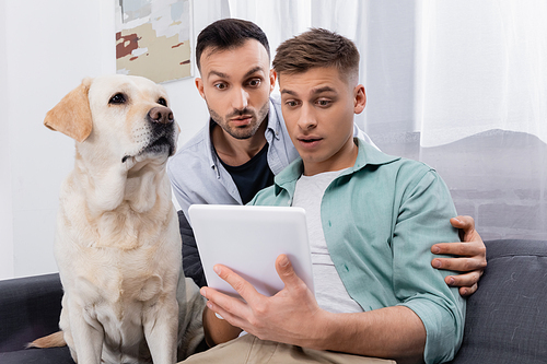 surprised same sex couple looking at digital tablet near dog in living room