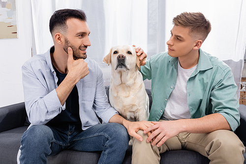 homosexual couple looking at each other near labrador in living room